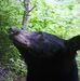 Profile Picture of Kevin Holtsclaw (@Kevin-Holtsclaw) on Facebook