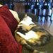 Profile Picture of Cora Bertrand (@cmbert22655) on Pinterest