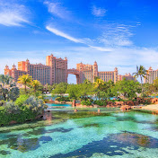 Profile Picture of Roy Dong (@roydong1137) on Youtube