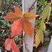 Profile Picture of Alice Stitt (@alices1340) on Pinterest