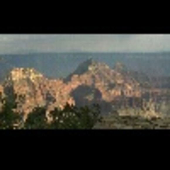 Profile Picture of Sanette Mckellips (@nettymc) on Poshmark