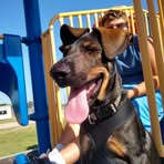 Profile Picture of Chris Repass (@chris.repass.3) on Facebook