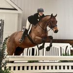 Profile Picture of Michelle Morosky Patience (@goodflight) on Instagram