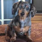 Profile Picture of Lori Hurt (@lori.e.hurt) on Facebook