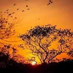 Profile Picture of Jean Carlos Echavarria (@janky507pty) on Instagram