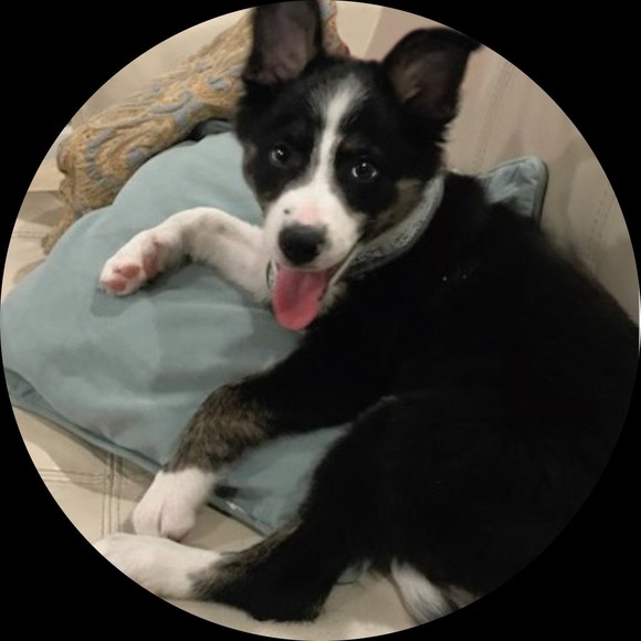 Profile Picture of Margaret Torok (@cam915) on Poshmark