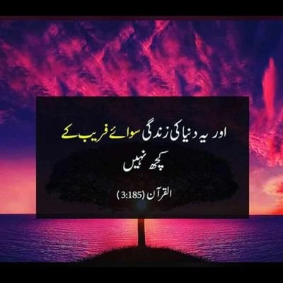 Profile Picture of Asma Shah (@Asmashah456) on Twitter