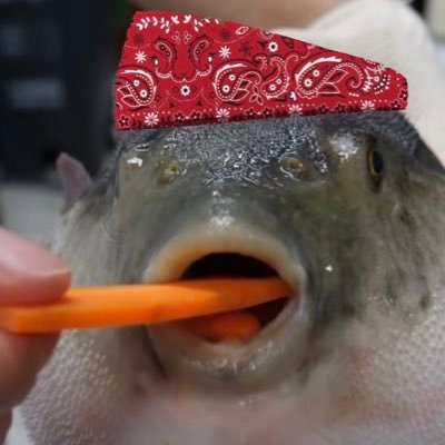 Profile Picture of Matthooters (@matt_hooters) on Twitter