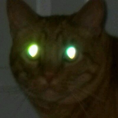 Profile Picture of Brian Howlett (@howlett_brian) on Twitter