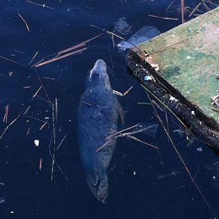 Profile Picture of Richard Finnerty (@Richard-Finnerty) on Facebook