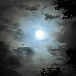 Profile Picture of Caleb Hoglen (@caleb_h4202007) on Instagram