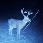Profile Picture of Devin Cunningham, sc= dcdc5858 (@devin04cunningham) on Instagram