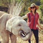 Profile Picture of Stelia (Shiner) Nappi Jones (@steliaheart) on Instagram