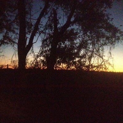 Profile Picture of Chris Lembo (@ChrisChrislembo) on Twitter