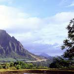 Profile Picture of Phillip_Dyer (@phillip_dyerr) on Instagram