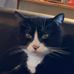 Profile Picture of Janet Wick (@janet.mearida) on Facebook