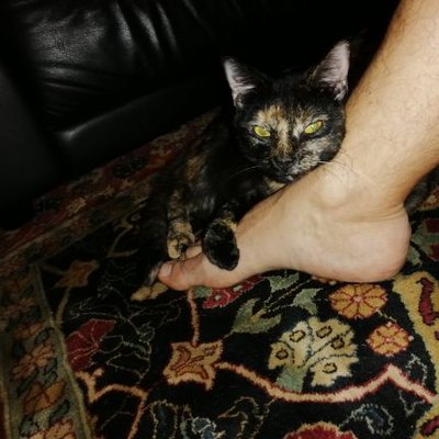 Profile Picture of Chris LaFountain (@ChrisLaFountai1) on Twitter