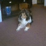 Profile Picture of audrey britton (@audreybrtton) on Instagram