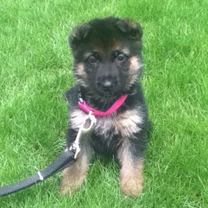 Profile Picture of Erin Stokes (@estokes17) on Myspace