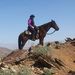 Profile Picture of Fran Calvert (@calvert1748) on Pinterest
