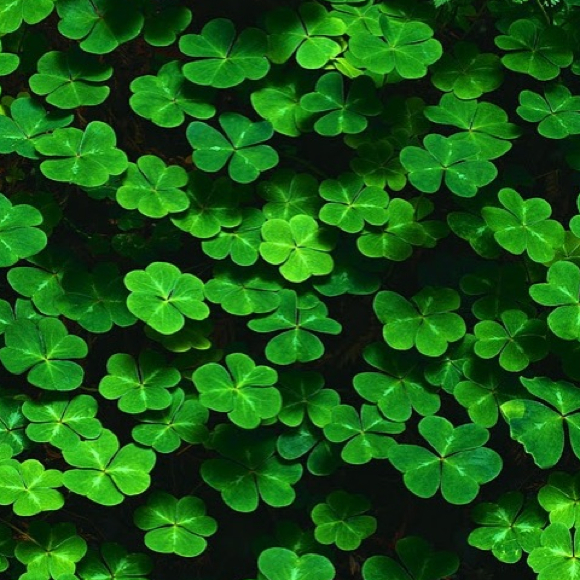 Profile Picture of Trisha Antonioli (@trisha409) on Poshmark