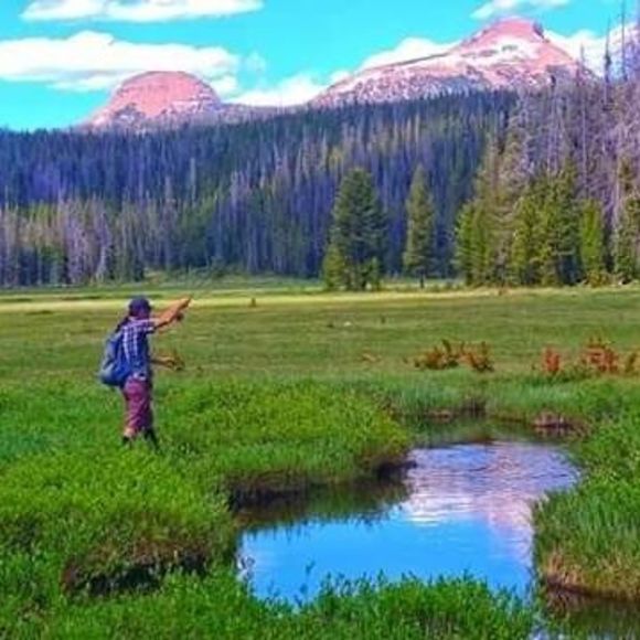 Profile Picture of Steve Gibb (@stevegibb) on Poshmark