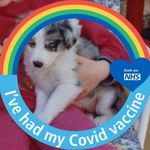 Profile Picture of Michael Procter (@michael.procter1) on Instagram