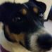 Profile Picture of Jim Vidler (@jim.vidler.963) on Facebook