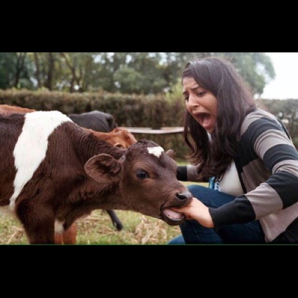 Profile Picture of Amanda Lopas (@amandamarieplss) on Poshmark