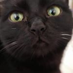 Profile Picture of Krista Sharpe (@thekstory) on Instagram