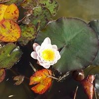 Profile Picture of Lisa Haynes (@lisa-haynes-18) on Quora