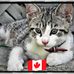 Profile Picture of Danielle Laflamme (@danielle.laflamme.3) on Facebook