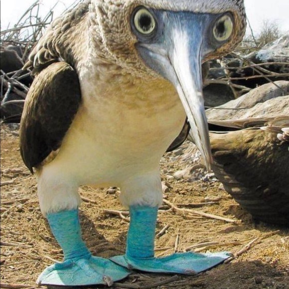 Profile Picture of Jeff Werbelow (@jeffwerbelow) on Poshmark