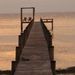 Profile Picture of Tracy Schellhorn (@schtracy) on Pinterest