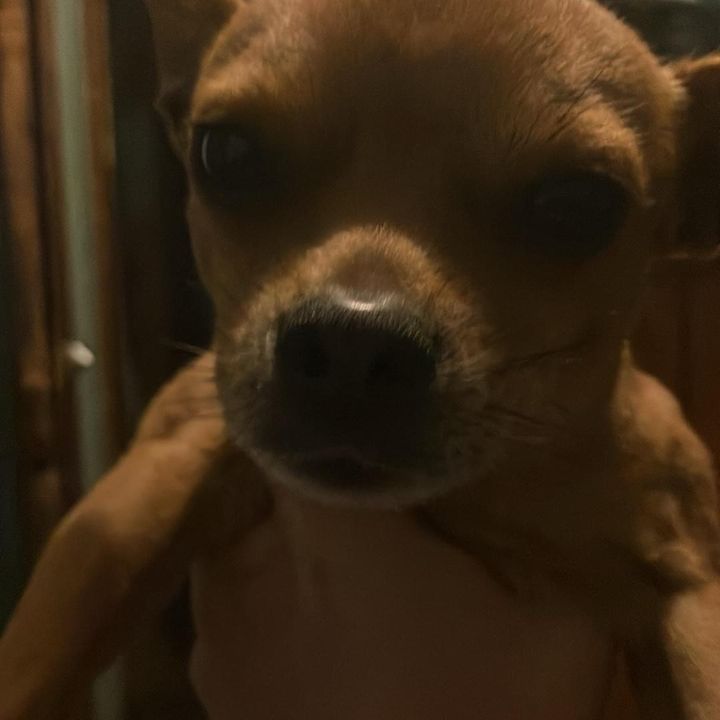 Profile Picture of John Lumley (@john.lumley8) on Tiktok