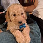 Profile Picture of Clementine (@werstuckwithclem) on Instagram