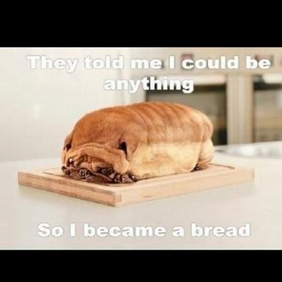 Profile Picture of Josh Bracht (@Jimmygrizz69) on Twitter