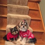 Profile Picture of Joanne Reichert (@reichertjoanne) on Instagram