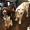 Profile Picture of Betsy Harned (@betsy.lewis.315865) on Facebook