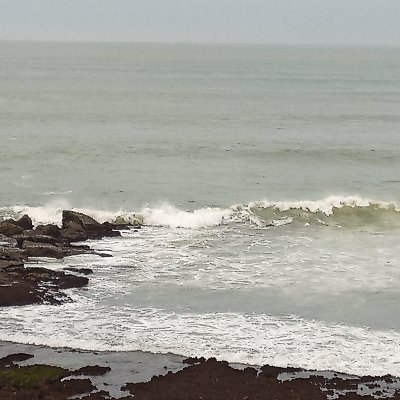 Profile Picture of Brad Govich (@BradGovich) on Twitter