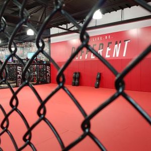 Profile Picture of Matt Hagman (@hagman_matt) on Twitter