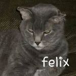 Profile Picture of Debbie McHenry (@mchenrydebbie) on Instagram