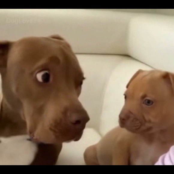 Profile Picture of Jorge Ortiz (@jorgeortiz126) on Poshmark