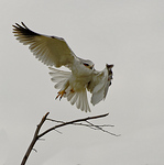 Profile Picture of Dirk De Lange (@Dadels2010) on Flickr