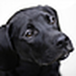 Profile Picture of Cole Young (@C. Young Photography) on Flickr