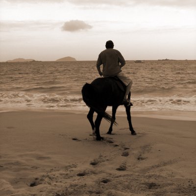 Profile Picture of 🇺🇸 Robert Brack ❌❌ (@electsub) on Twitter