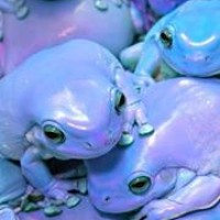 Daniele Valderrama - Quora Profile Picture of Daniele Valderrama (@daniele-valderrama) on Quora