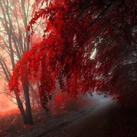 Profile Picture of Thomas Bateman-miranda (@thomas-bateman-miranda-1) on Quora