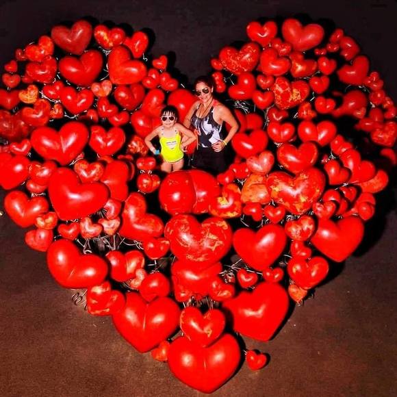 Profile Picture of Elizabeth Viscarra (@lizluz71) on Poshmark