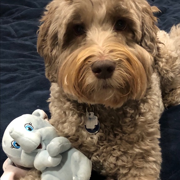 Haley Blane - Poshmark Profile Picture of Haley Blane (@haleyblane20) on Poshmark